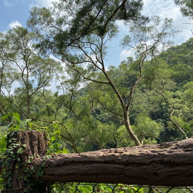 香港隱世花園