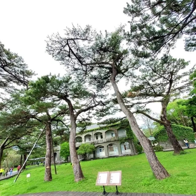 花蓮松原別館⛰️景色太美💜心靈放鬆之地