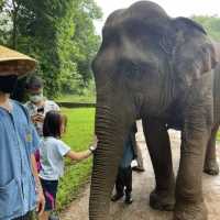 Anantara Golden Triangle Elephant Camp & Resort