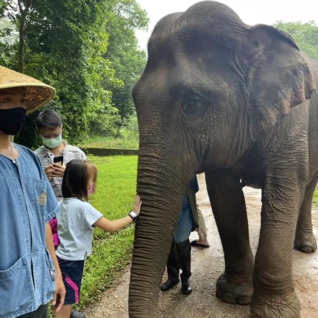Anantara Golden Triangle Elephant Camp & Resort