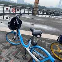 【城市中的巨大綠洲：深圳灣公園】