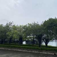 【城市中的巨大綠洲：深圳灣公園】