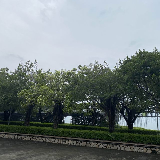【城市中的巨大綠洲：深圳灣公園】