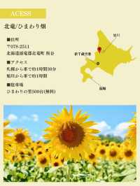 【北竜/ひまわりの里】北海道の絶景ログVol.5