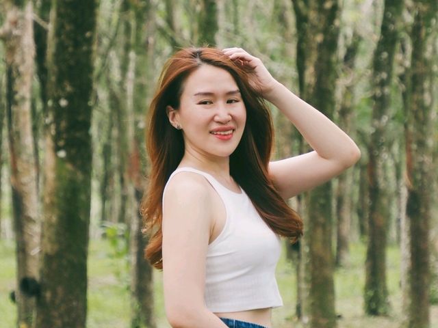 อุโมงค์ต้นยางพารา จ.ภูเก็ต