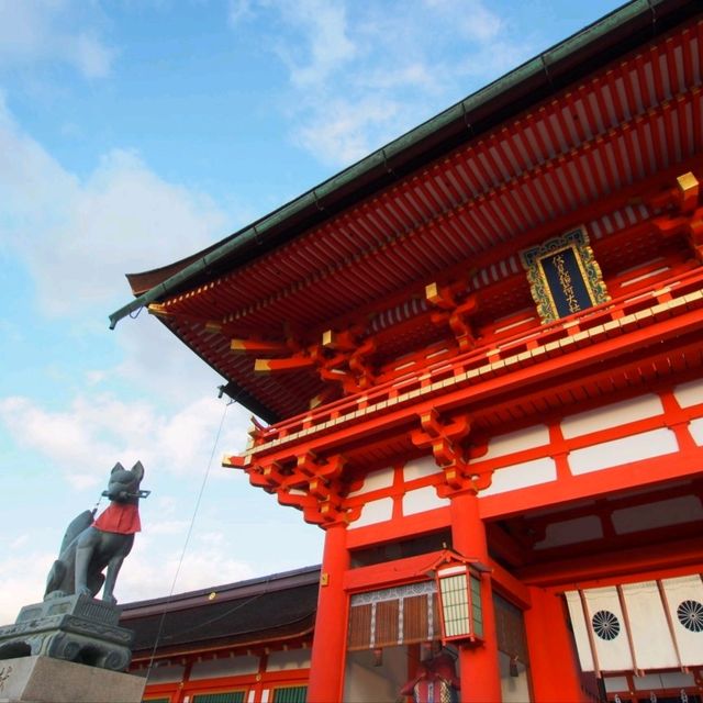 延綿不斷的紅色鳥居隧道⛩️