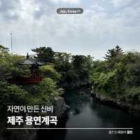자연이 만든 신비 🌿 제주 용연계곡