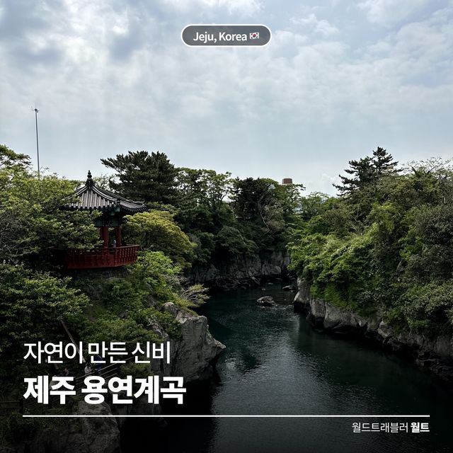 자연이 만든 신비 🌿 제주 용연계곡