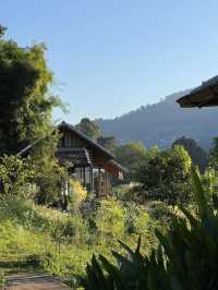 ไปเที่ยว Mori Natural Farm ที่เชียงใหม่กัน!🌳
