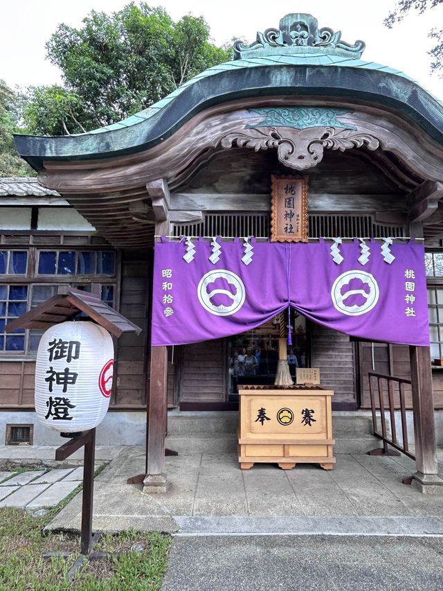 /今天玩什麼？/桃園忠烈祠暨神社文化園區⛩️｜台灣少數完美保留神社的地方 假日有市集可以逛 