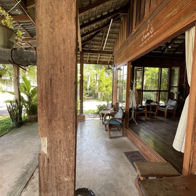 ม่อนสวนคาเฟ่ #ดอยสะเก็ด