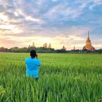 วัดโพรงอากาศ​