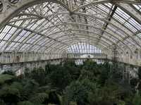 Royal Botanic Gardens, Kew