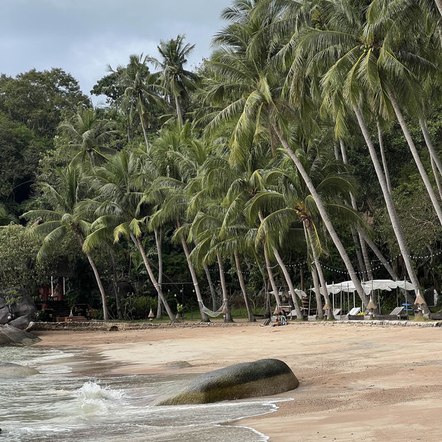 Exploring the Tropical Paradise: Koh Tao 🏝️