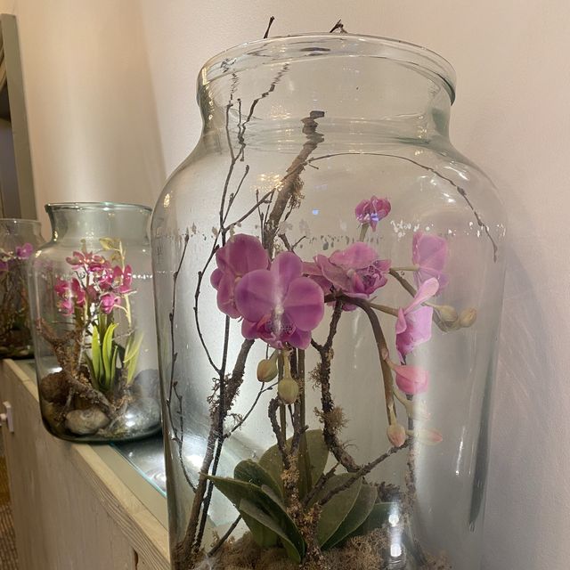 英國高質泰菜「Giggling Squid」：感受泰國風情，品嚐經典菜餚