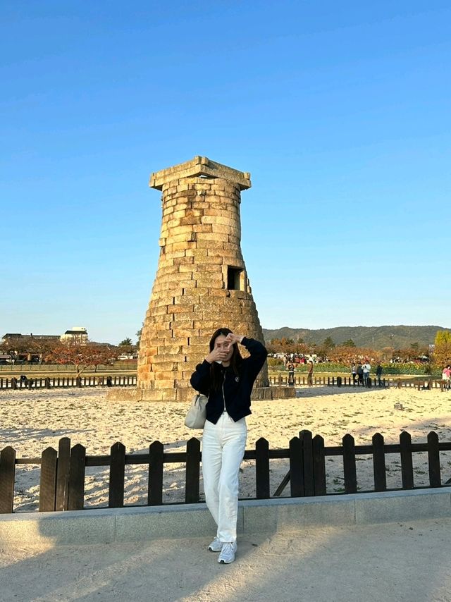 경주 첨성대, 핑크뮬리, 갈대밭, 해바라기 뷰 맛집 코스!!