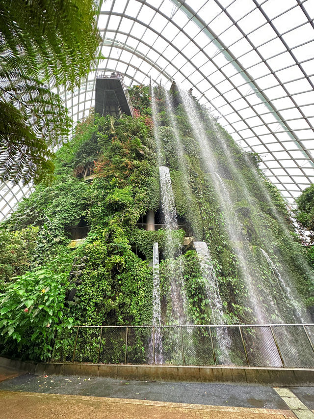 🇸🇬新加坡｜老巴剎美食廣場 Lau Pa Sa
