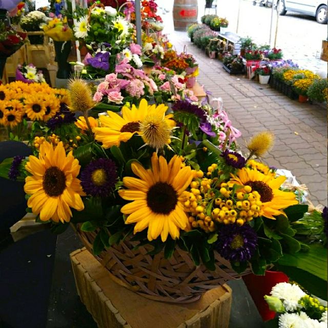 A TRADITIONAL SOFIA MARKET!