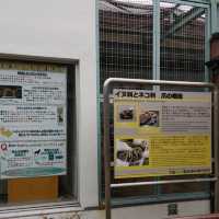 わかりやすい！大阪eco動物海洋専門学校　天王寺動物園