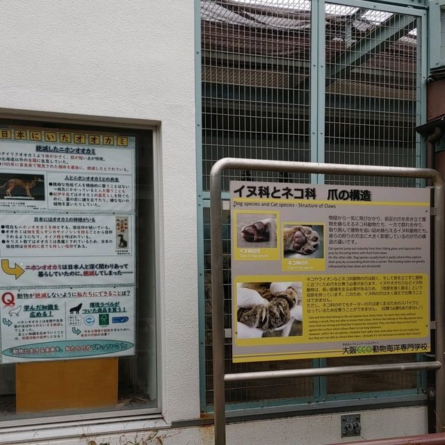 わかりやすい！大阪eco動物海洋専門学校　天王寺動物園