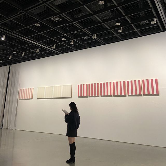 대구 1월 전시회 대구미술관 다니엘뷔런