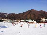 ⛷️熱愛冬季運動🇰🇷Jisan Forest Resort 지산포레스트리조트
