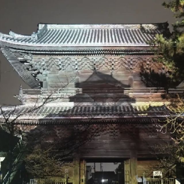 幻想的なプロジェクションマッピング