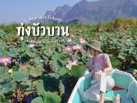 6 พิกัด ล่องเรือชมทุ่งบัวบาน อ.สามร้อยยอด
