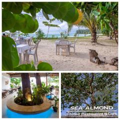 Sea Almond Chilled Restaurant & Cafe User Photo