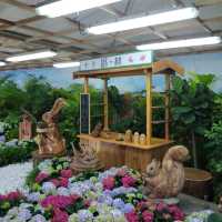 2023 香港花卉展覽