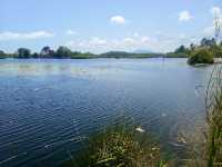 พายเรือคายัค ชมป่าเสม็ดโบราณ ที่สวนพฤกษศาสตร์ระยอง