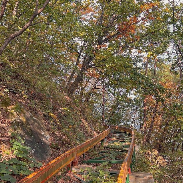 광주 단풍놀이명소 추천, 지산유원지 모노레일 ✨