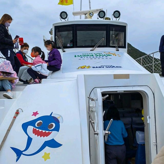 與baby shark遊船河