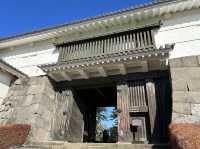 【神奈川】天下の名城！小田原城🏯をご紹介