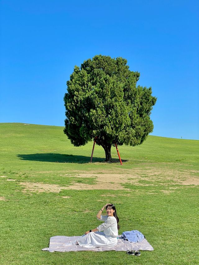 서울 올림픽공원 원조 사진 맛집 #나홀로나무 🌳