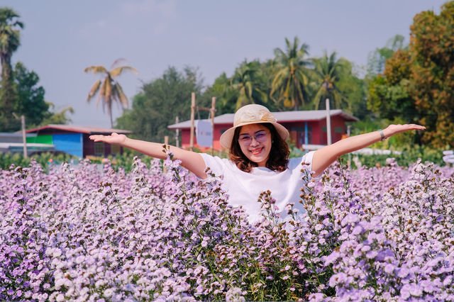 JP Farm Phitsanulok