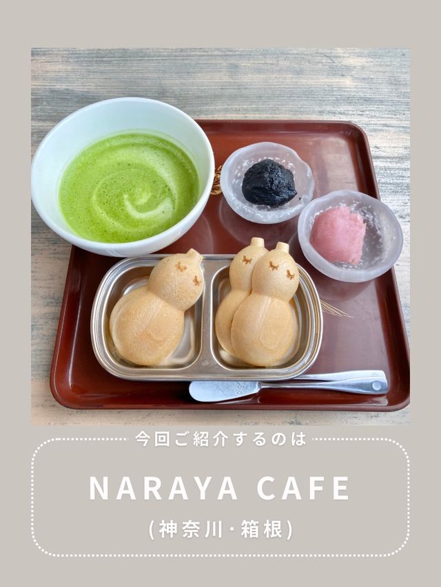 【箱根】わんこと行ける足湯カフェ♨️