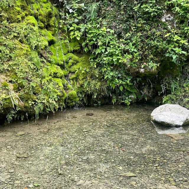 【沖縄】垣花樋川【日本の名水】