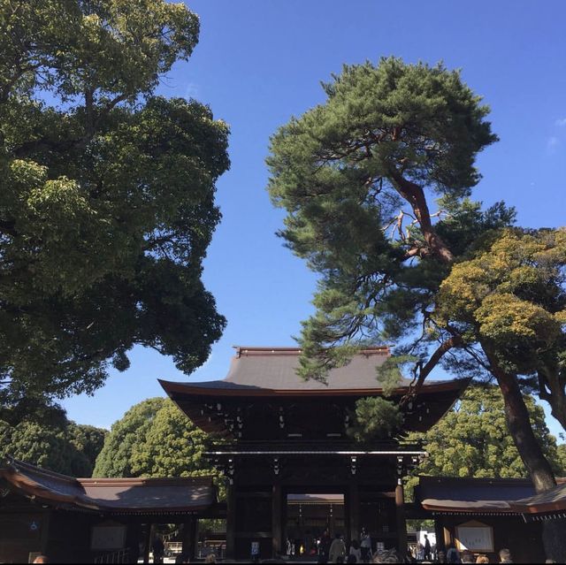 🏯일본 근대 역사가 담긴 신주쿠 메이지 신궁 ! 