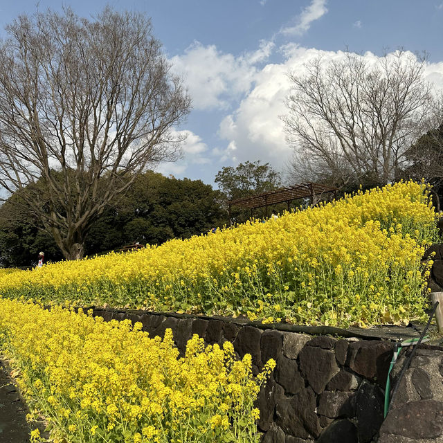 花博紀念公園鶴見綠地