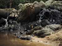 The Hidden Falls ในสวนลับ ลานกางเต็นท์ริมลำธาร🌿