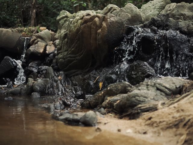 The Hidden Falls ในสวนลับ ลานกางเต็นท์ริมลำธาร🌿