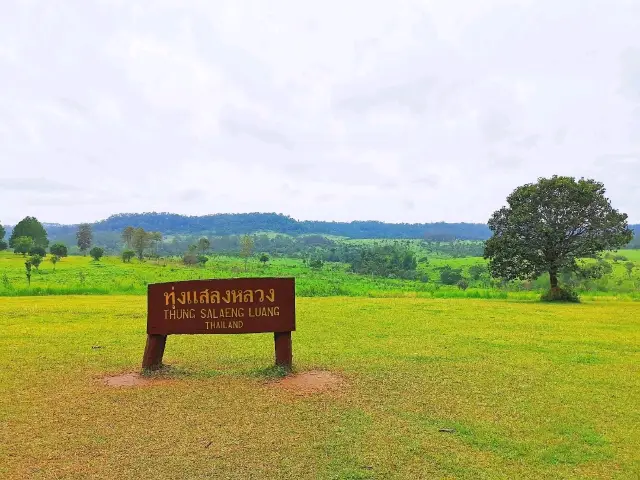 🌧️ ฝนนี้ที่เขาค้อ 🌧️ Ep.4 สะวันนาไทยแลนด์