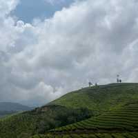 Munnar - Switzerland of India 🇮🇳 