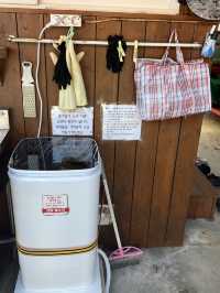 촌캉스 가능한 비진도 감성숙소