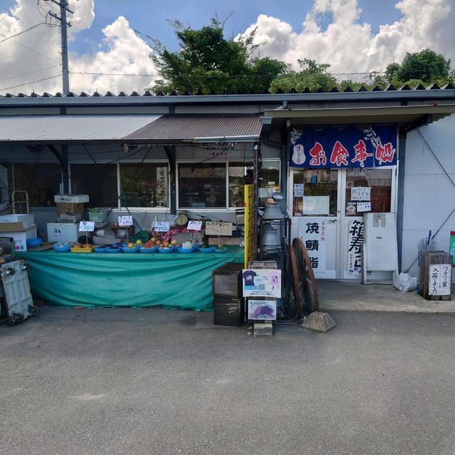 愛知旅行！「多賀の里」「魚弘」