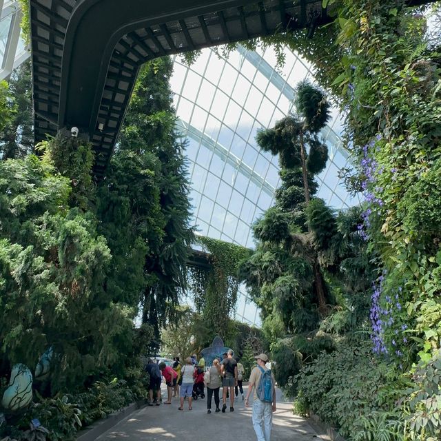 Cloud Forest