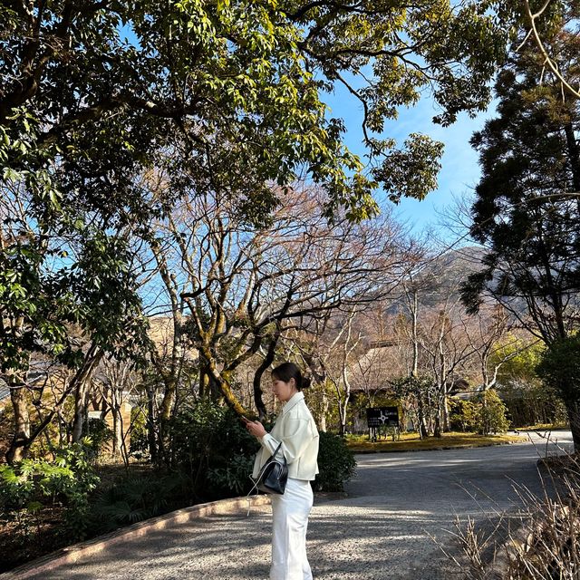 황금빛 잉어가 사는 긴린코~🎏🎏