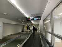 北海道から愛知へ JALでひとっ飛び!快適空の旅