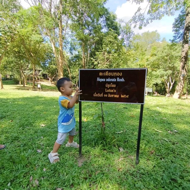 เที่ยวน้ำตกกันนะ